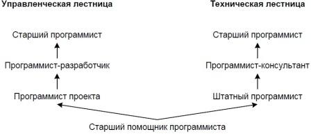 Двойная служебная лестница IBM